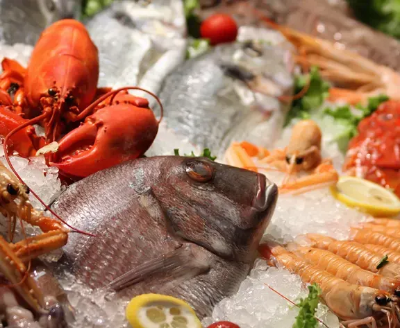 Meat & Fish Components